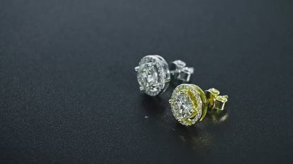 Nandee Platinum Moissanite Stud Earrings